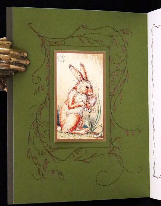 2008 Rare First Edition - Mr. Rabbit's Symphony of Nature by Charles van Sandwyk. With “frolicking frogs” bookmark.