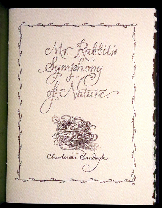 2008 Rare First Edition - Mr. Rabbit's Symphony of Nature by Charles van Sandwyk. With “frolicking frogs” bookmark.