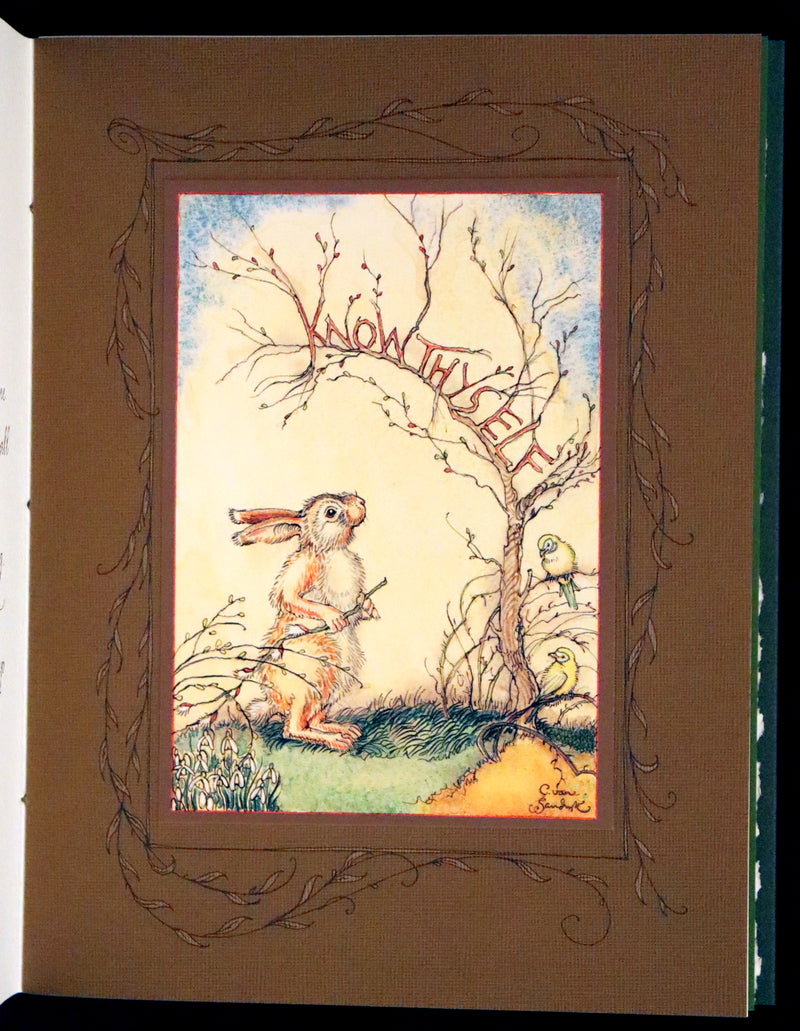 2008 Rare First Edition - Mr. Rabbit's Symphony of Nature by Charles van Sandwyk. With “frolicking frogs” bookmark.