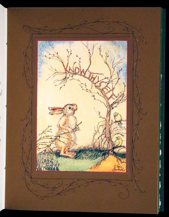 2008 Rare First Edition - Mr. Rabbit's Symphony of Nature by Charles van Sandwyk. With “frolicking frogs” bookmark.