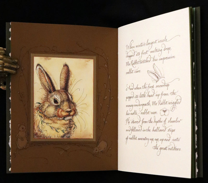 2008 Rare First Edition - Mr. Rabbit's Symphony of Nature by Charles van Sandwyk. With “frolicking frogs” bookmark.