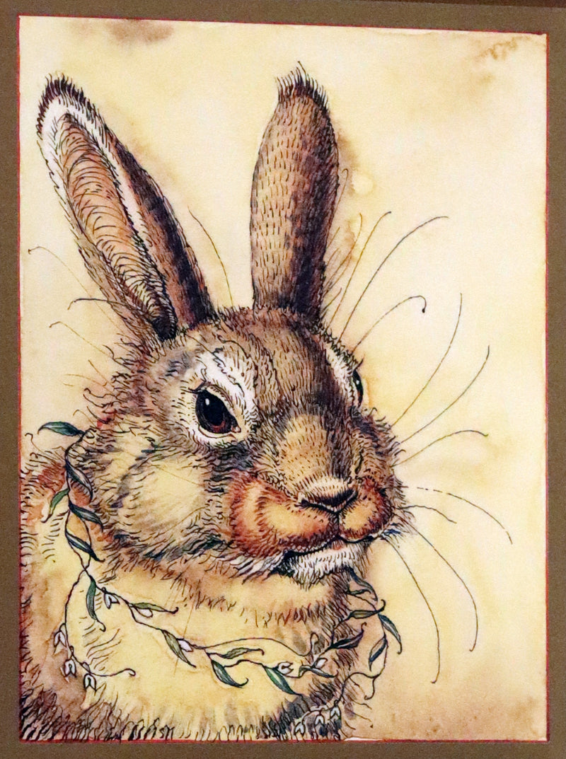 2008 Rare First Edition - Mr. Rabbit's Symphony of Nature by Charles van Sandwyk. With “frolicking frogs” bookmark.