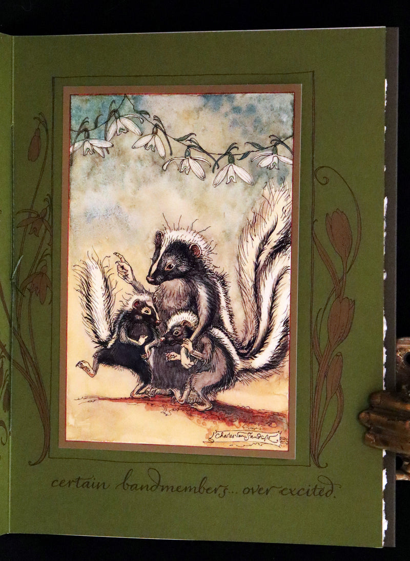 2008 Rare First Edition - Mr. Rabbit's Symphony of Nature by Charles van Sandwyk. With “frolicking frogs” bookmark.