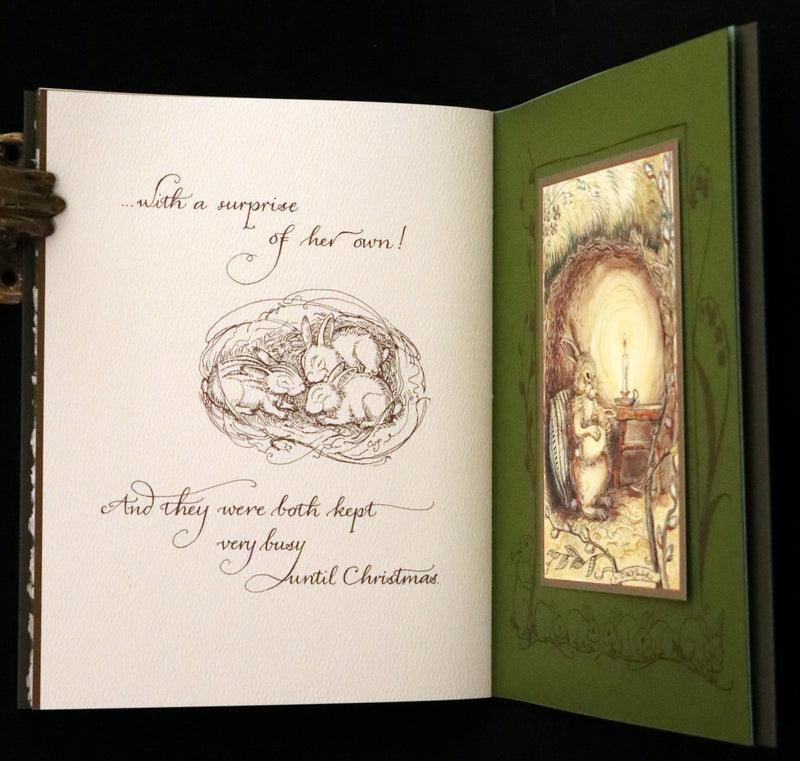 2008 Rare First Edition - Mr. Rabbit's Symphony of Nature by Charles van Sandwyk. With “frolicking frogs” bookmark.