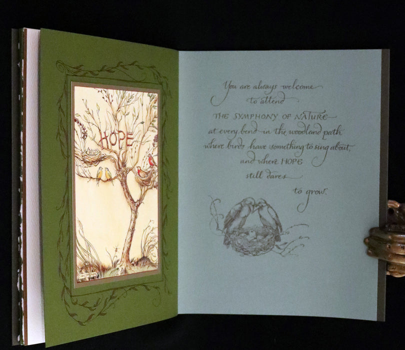 2008 Rare First Edition - Mr. Rabbit's Symphony of Nature by Charles van Sandwyk. With “frolicking frogs” bookmark.