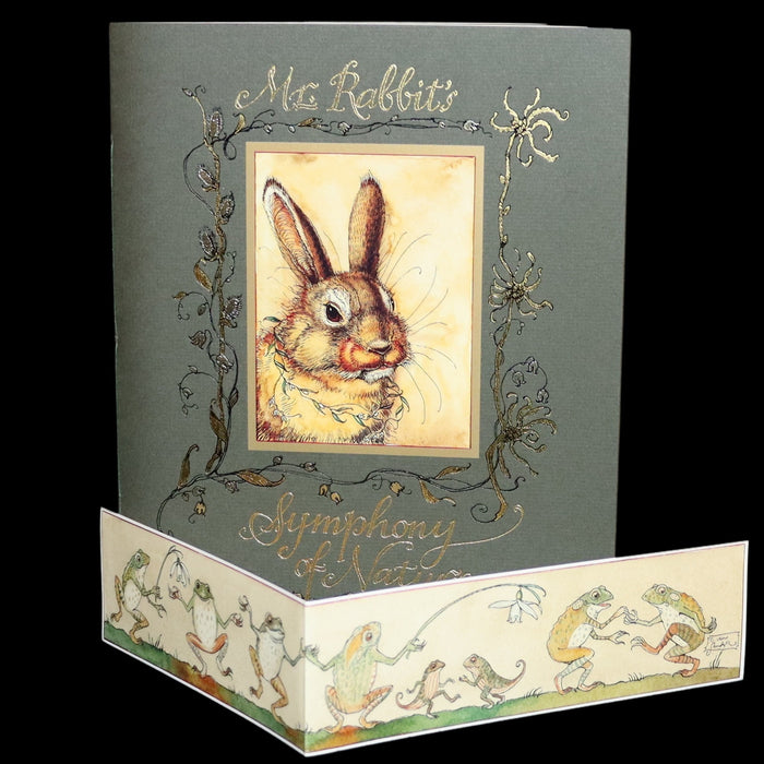 2008 Rare First Edition - Mr. Rabbit's Symphony of Nature by Charles van Sandwyk. With “frolicking frogs” bookmark.