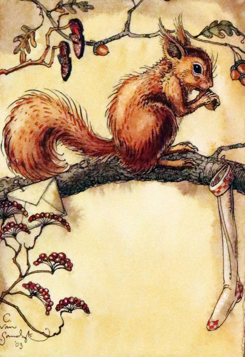 2007 Rare Edition - Mr. Rabbit's Christmas Wish Translated for Humans by Charles van Sandwyk.