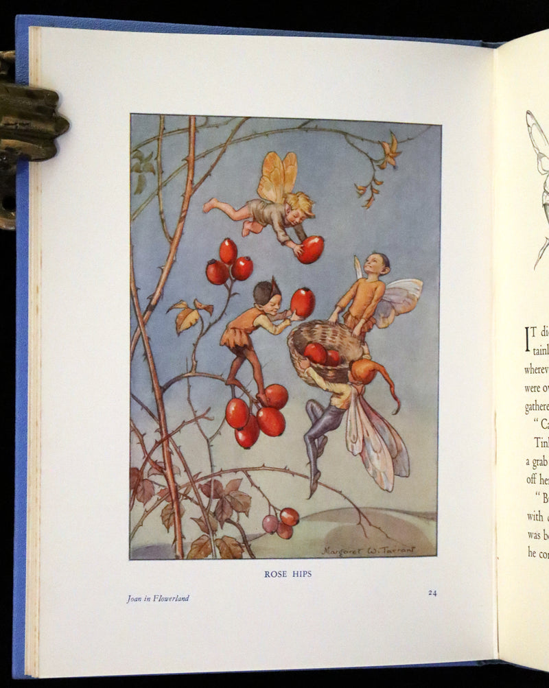 1936 Scarce Edition in Dust Jacket -  Joan in Flowerland written and illustrated by Margaret W. Tarrant.