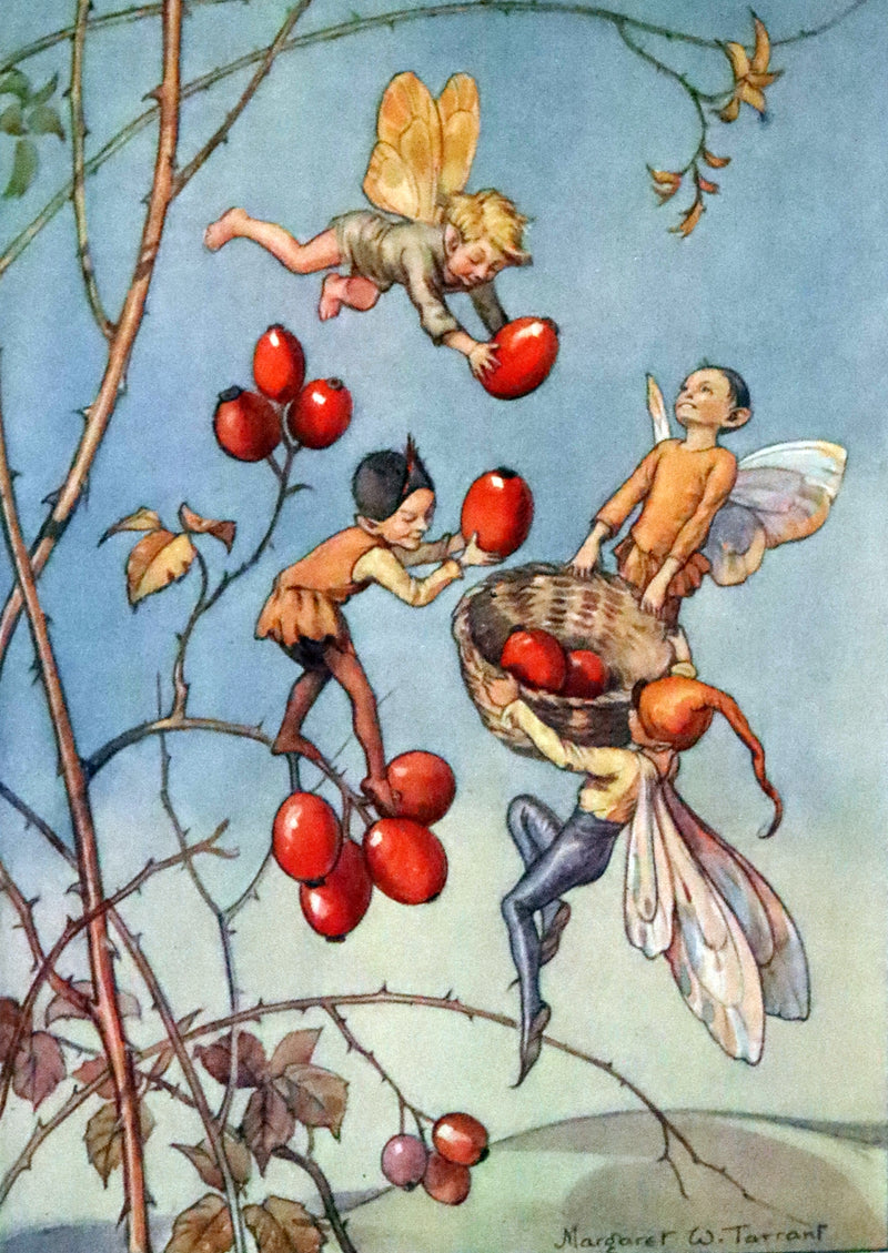 1936 Scarce Edition in Dust Jacket -  Joan in Flowerland written and illustrated by Margaret W. Tarrant.