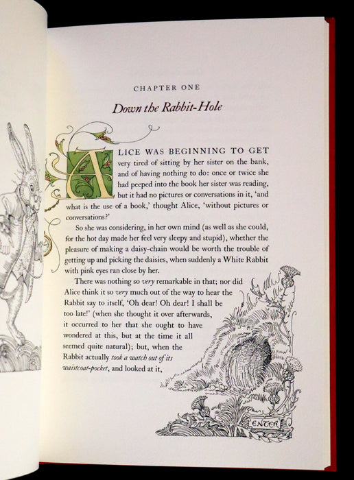 2019 Rare Signed First trade Edition - Alice's Adventures in Wonderland illustrated by Charles van Sandwyk.