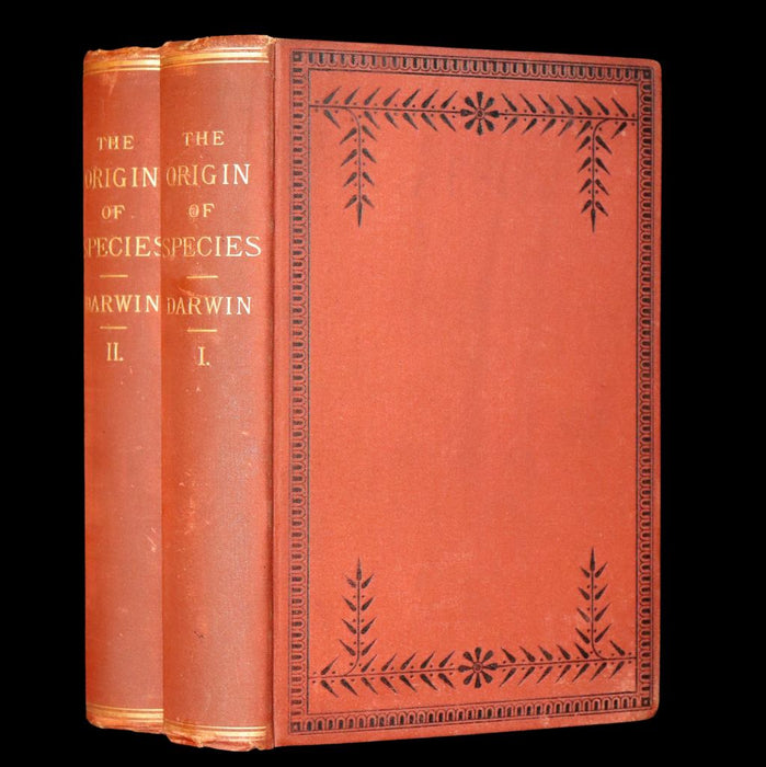 1889 Rare Book set - The Origin of Species, Natural Selection in the Struggle for Life by Charles Darwin.