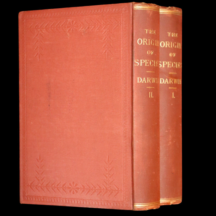 1889 Rare Book set - The Origin of Species, Natural Selection in the Struggle for Life by Charles Darwin.