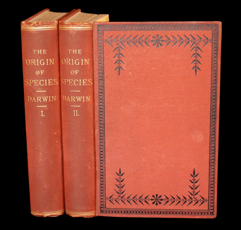 1889 Rare Book set - The Origin of Species, Natural Selection in the Struggle for Life by Charles Darwin.
