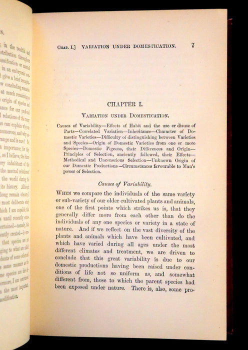 1889 Rare Book set - The Origin of Species, Natural Selection in the Struggle for Life by Charles Darwin.