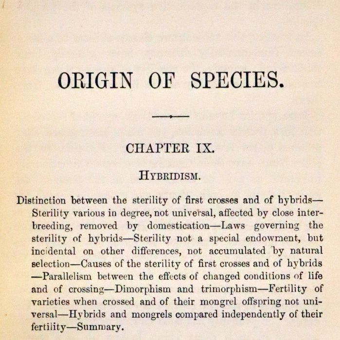 1889 Rare Book set - The Origin of Species, Natural Selection in the Struggle for Life by Charles Darwin.