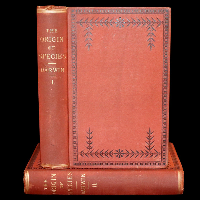 1889 Rare Book set - The Origin of Species, Natural Selection in the Struggle for Life by Charles Darwin.