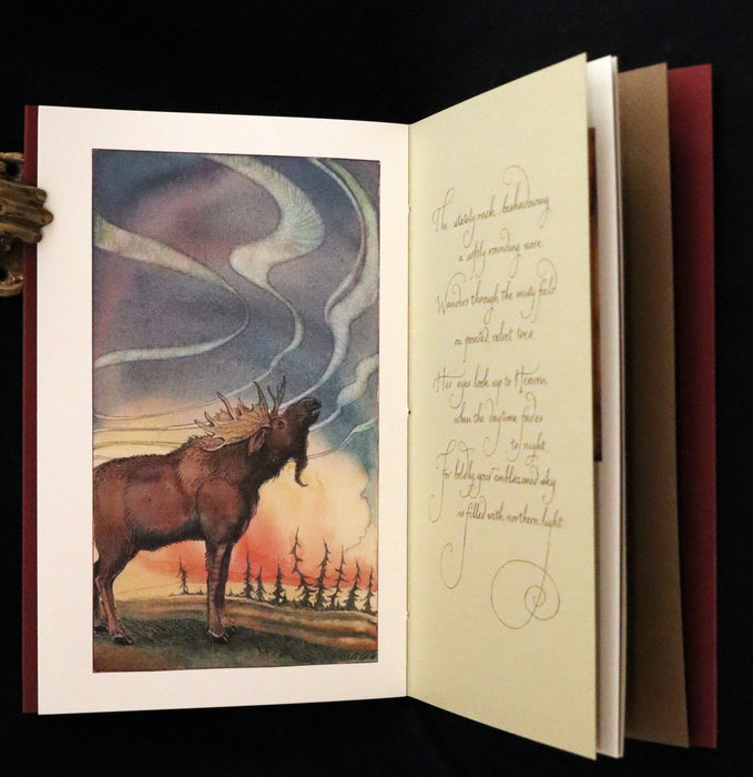 2009 Rare Signed Book - Canadian Content beautifully illustrated by Charles van Sandwyk.