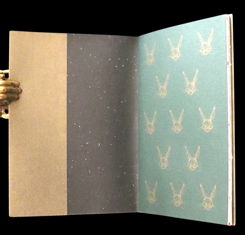 2007 Rare Book - Mr. Rabbit's Christmas Wish Translated for Humans by Charles van Sandwyk.