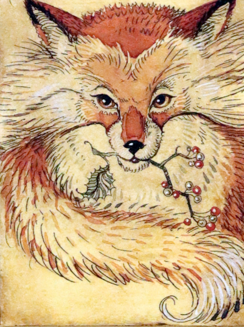 2007 Rare Book - Mr. Rabbit's Christmas Wish Translated for Humans by Charles van Sandwyk.