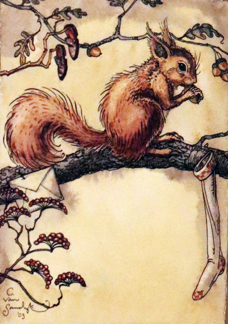 2007 Rare Book - Mr. Rabbit's Christmas Wish Translated for Humans by Charles van Sandwyk.