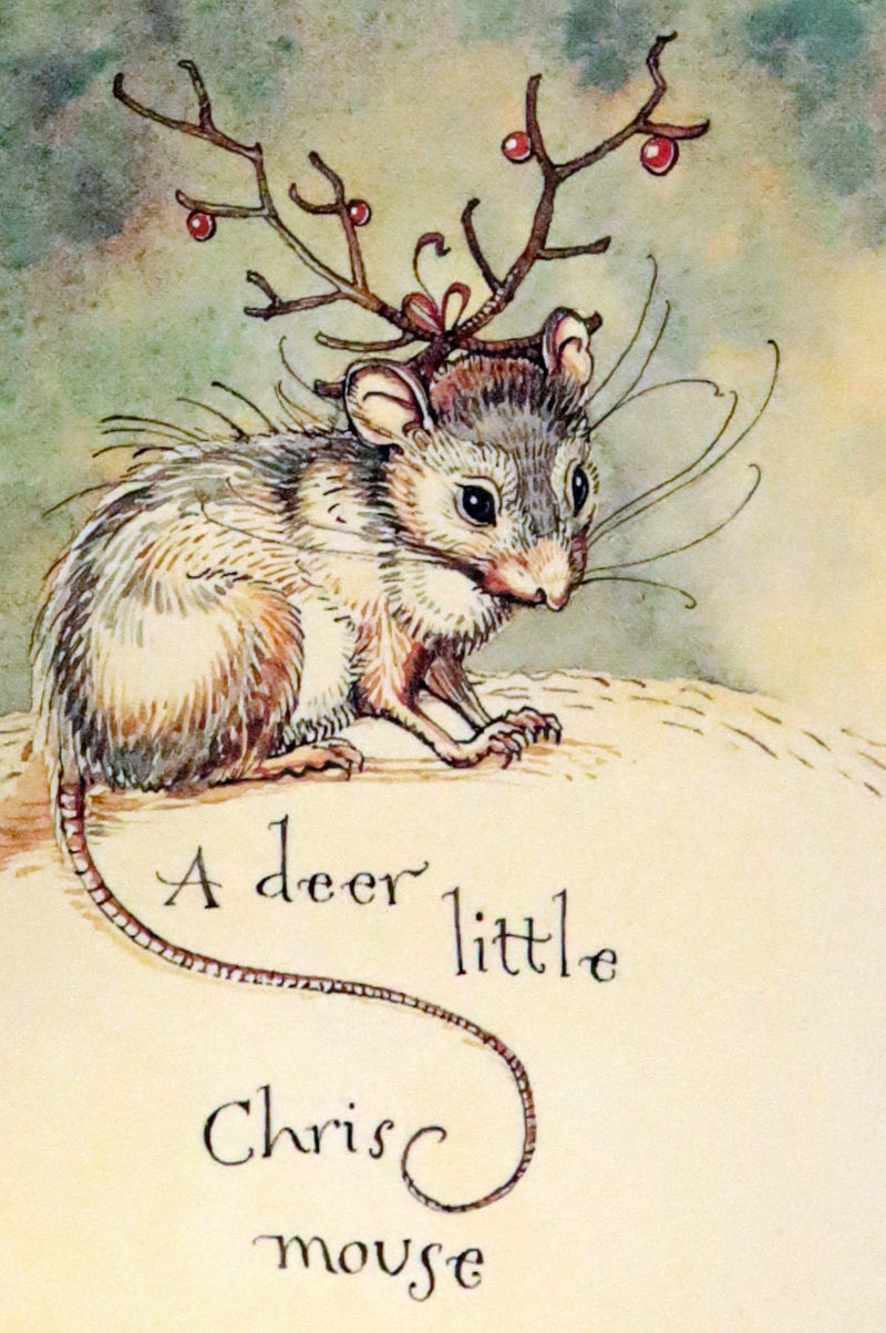 2007 Rare Book - Mr. Rabbit's Christmas Wish Translated for Humans by Charles van Sandwyk.