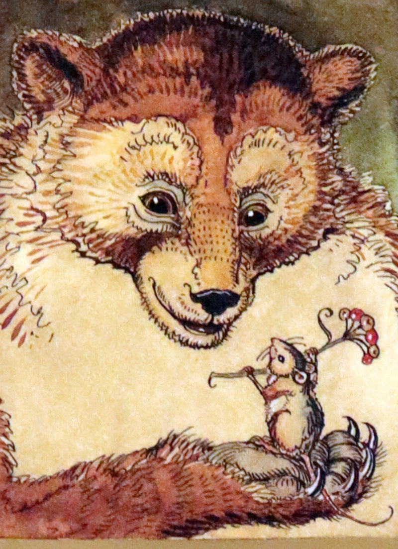 2007 Rare Book - Mr. Rabbit's Christmas Wish Translated for Humans by Charles van Sandwyk.