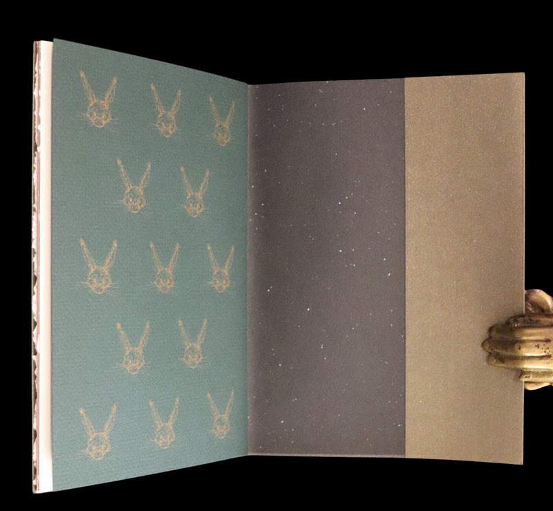 2007 Rare Book - Mr. Rabbit's Christmas Wish Translated for Humans by Charles van Sandwyk.