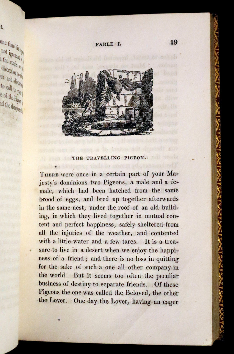 1818 Rare book in a beautiful binding - The Fables of Pilpay from ancient Indian and Persian wisdom. Illustrated.
