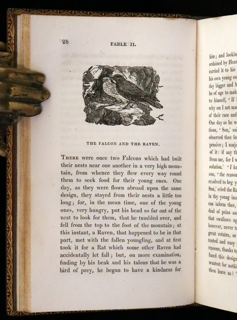 1818 Rare book in a beautiful binding - The Fables of Pilpay from ancient Indian and Persian wisdom. Illustrated.