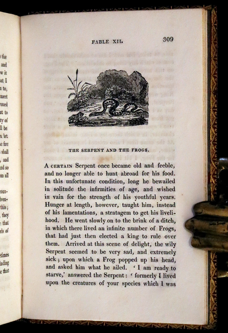 1818 Rare book in a beautiful binding - The Fables of Pilpay from ancient Indian and Persian wisdom. Illustrated.