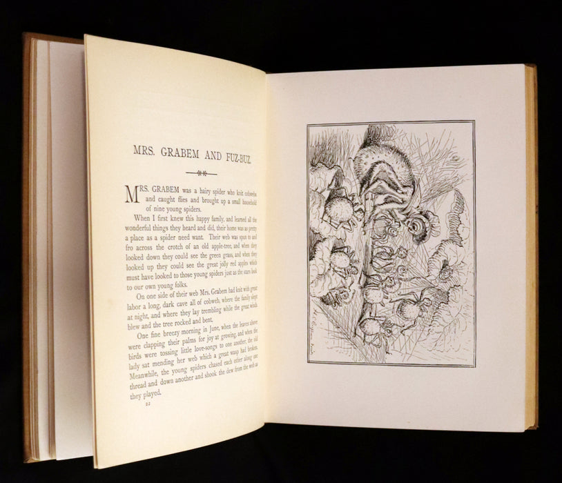 1899 Scarce Book - Prince Little Boy & Other Tales Out of Fairy-Land by Silas Weir Mitchell.