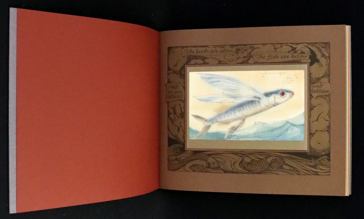 2005 Rare First Edition - Sketches from the Dream Island of Birds by Charles van Sandwyk.