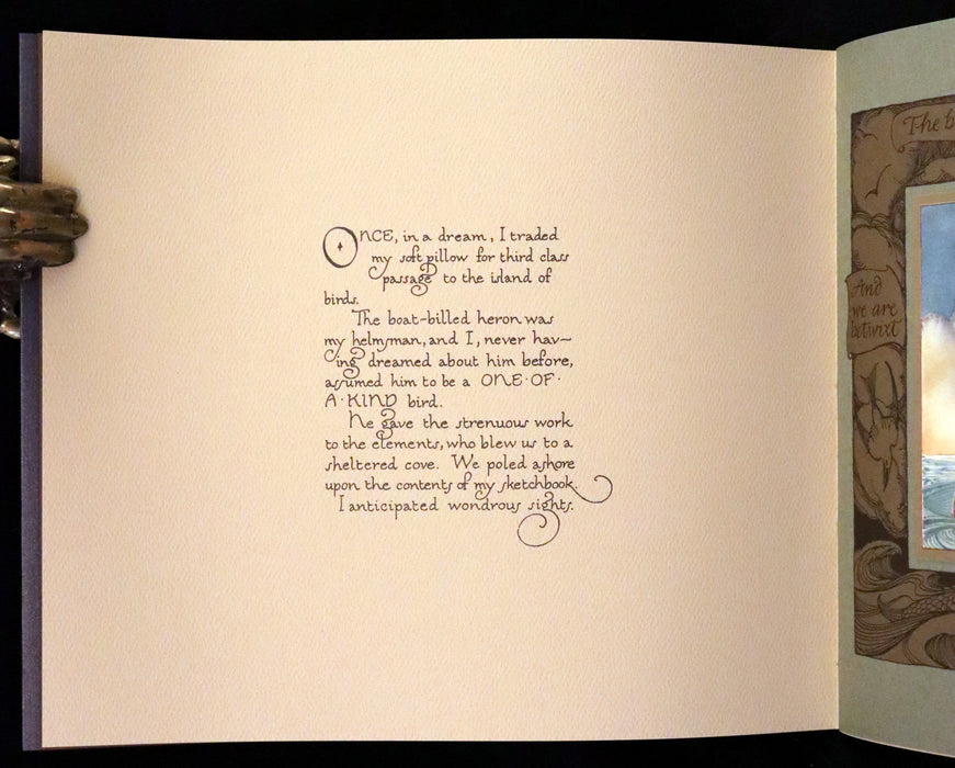 2005 Rare First Edition - Sketches from the Dream Island of Birds by Charles van Sandwyk.