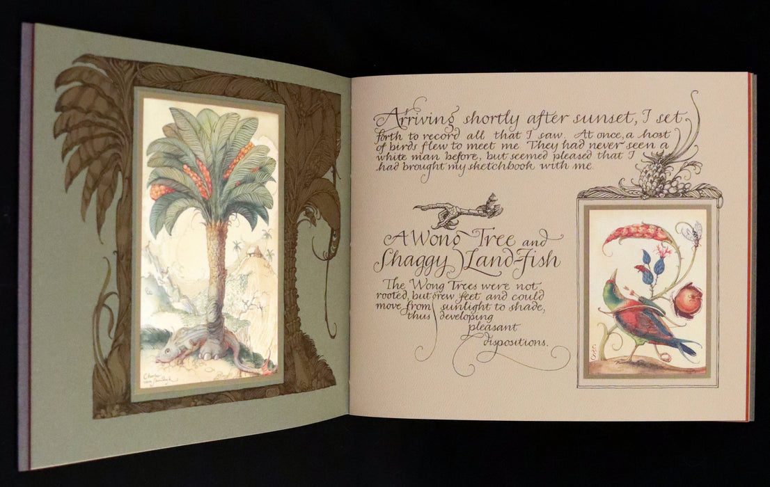 2005 Rare First Edition - Sketches from the Dream Island of Birds by Charles van Sandwyk.