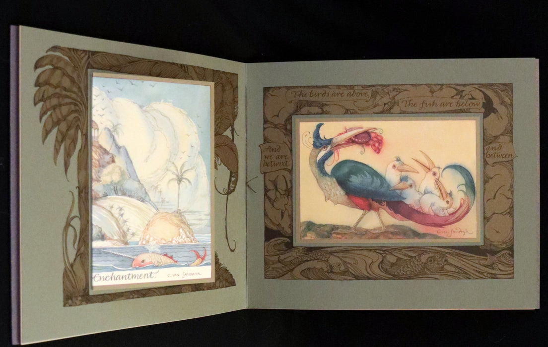 2005 Rare First Edition - Sketches from the Dream Island of Birds by Charles van Sandwyk.