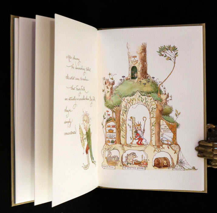 2020 Scarce Signed Limited Edition - Letters from Fairyland by Charles van Sandwyk. #7/250.