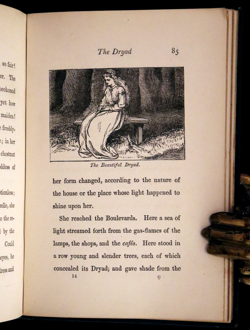 1885 Scarce Victorian Edition - The Will-o’-the-Wisp, Poultry Meg’s Family and Other Stories.