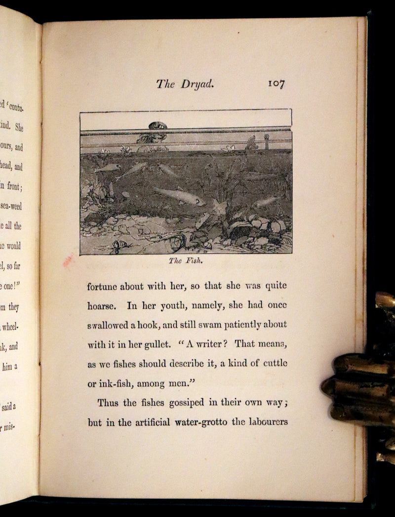 1885 Scarce Victorian Edition - The Will-o’-the-Wisp, Poultry Meg’s Family and Other Stories.