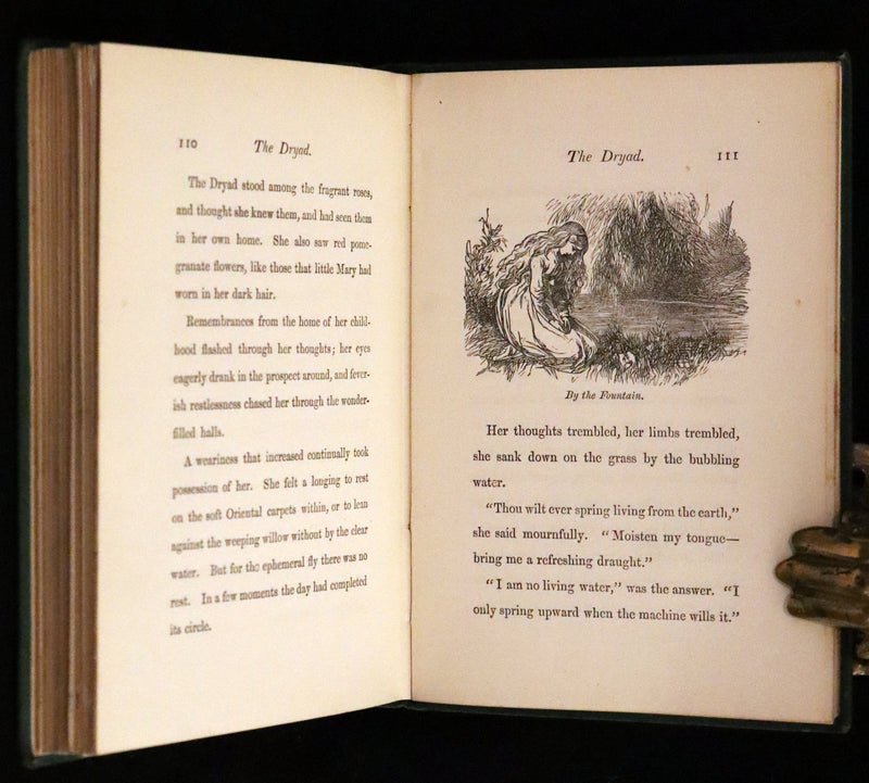 1885 Scarce Victorian Edition - The Will-o’-the-Wisp, Poultry Meg’s Family and Other Stories.