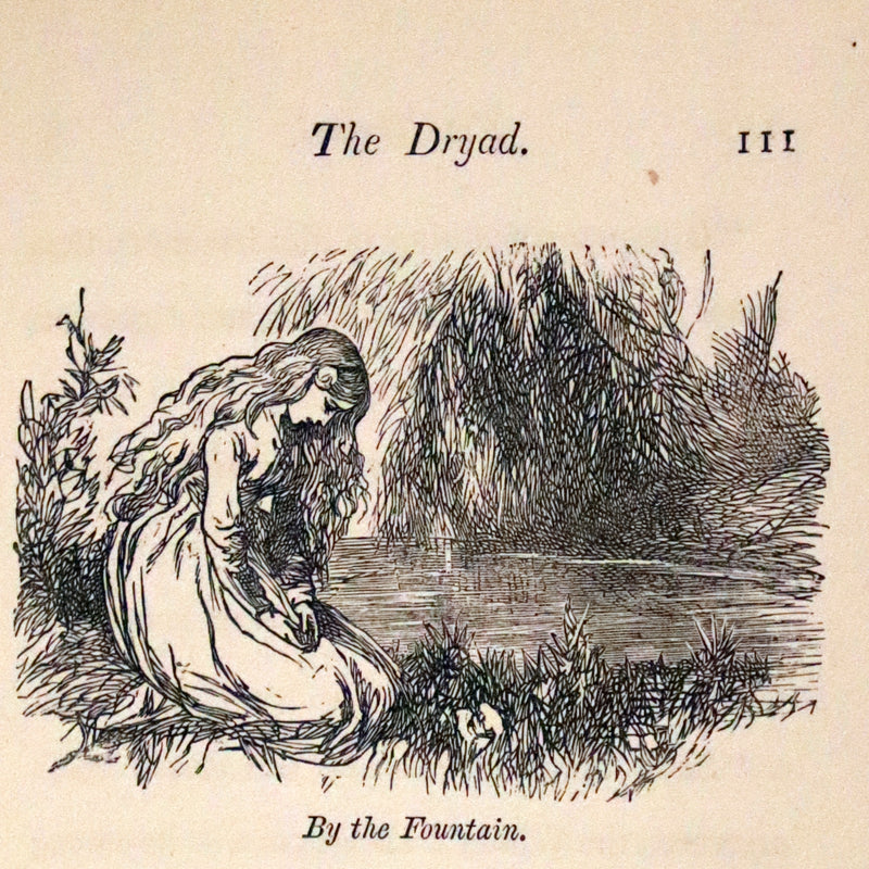 1885 Scarce Victorian Edition - The Will-o’-the-Wisp, Poultry Meg’s Family and Other Stories.