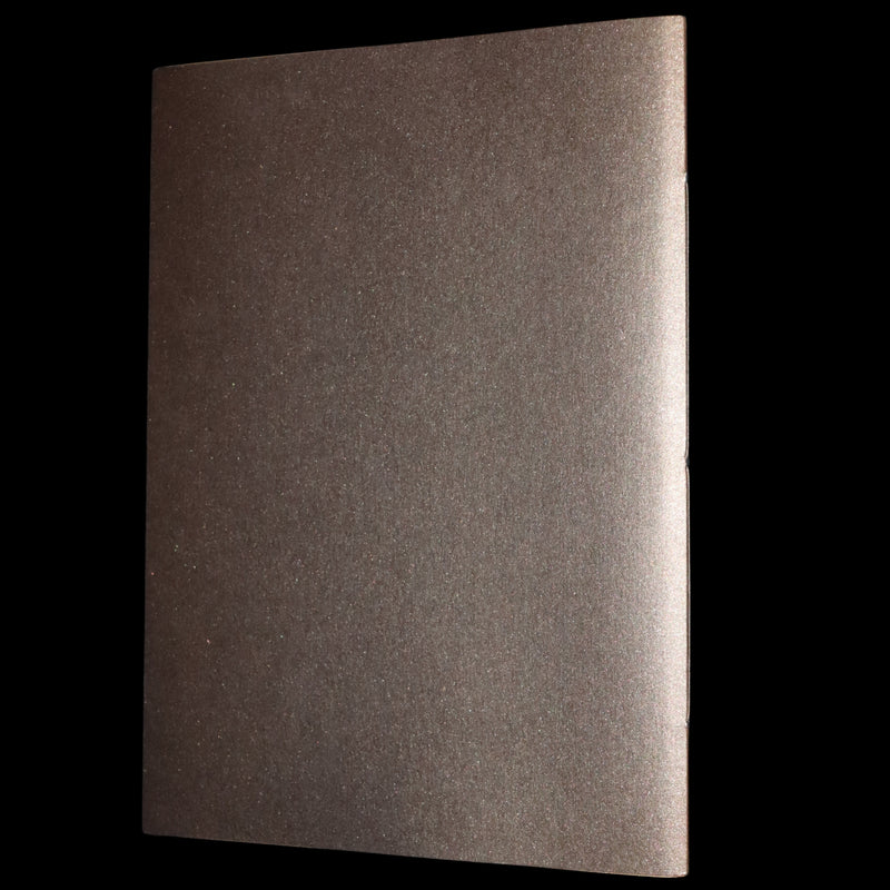 2013 Scarce Deluxe First Edition - An Unexpected Gift, A Christmas Tale by Charles van Sandwyk.