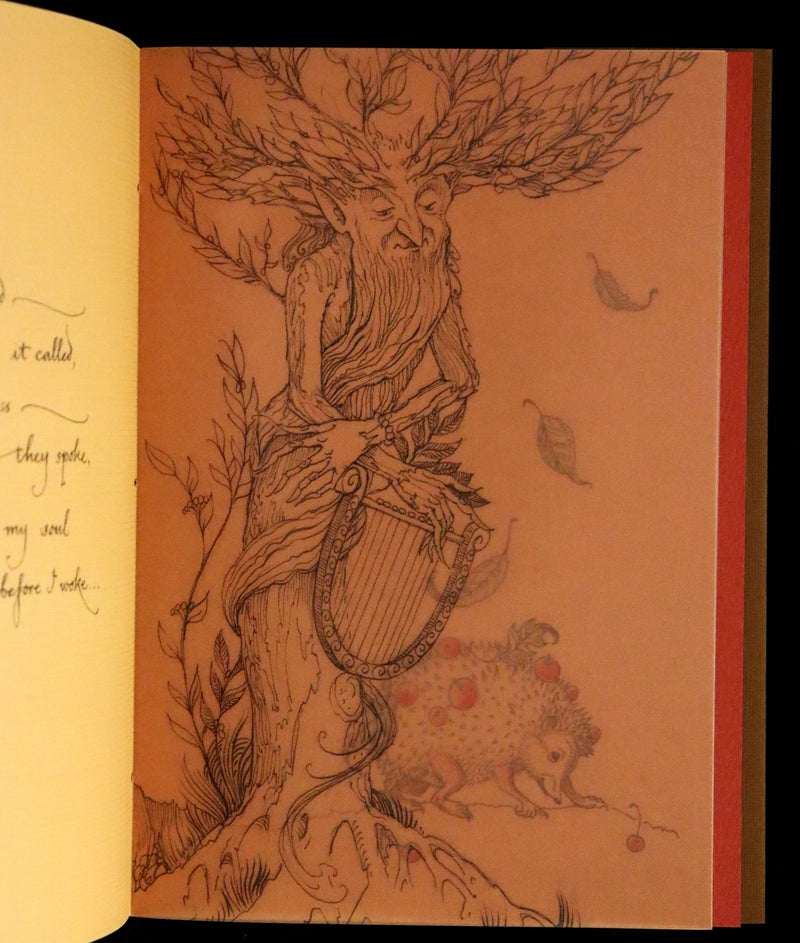 2015 Rare First Edition - Tree Whispers by Charles van Sandwyk.