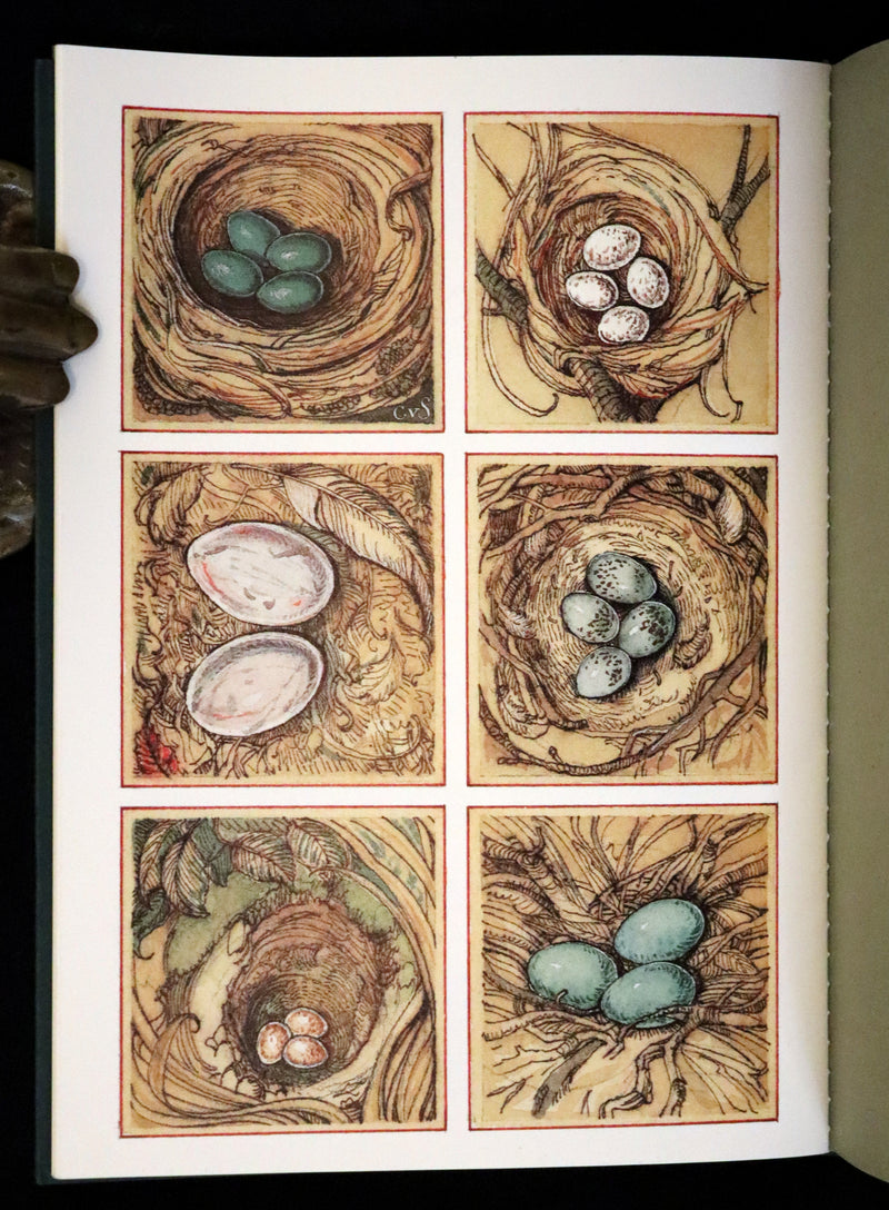 1995 Scarce Anniversary Edition - A Selection of Neighbourly Birds of the New World (Canada) by Charles Van Sandwyk.