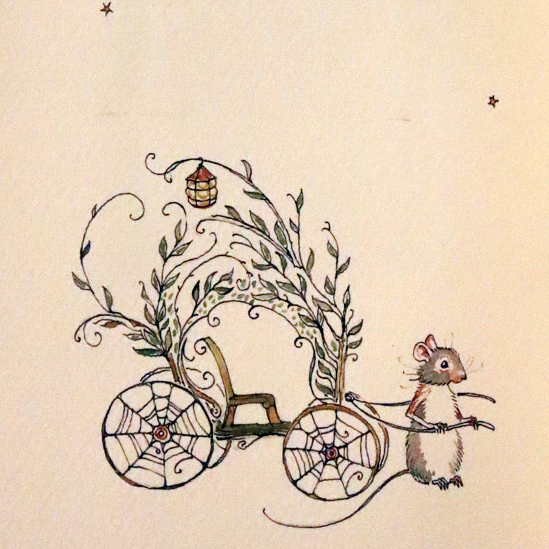 2016 Scarce First Edition - Letters From Fairyland by Charles van Sandwyk.