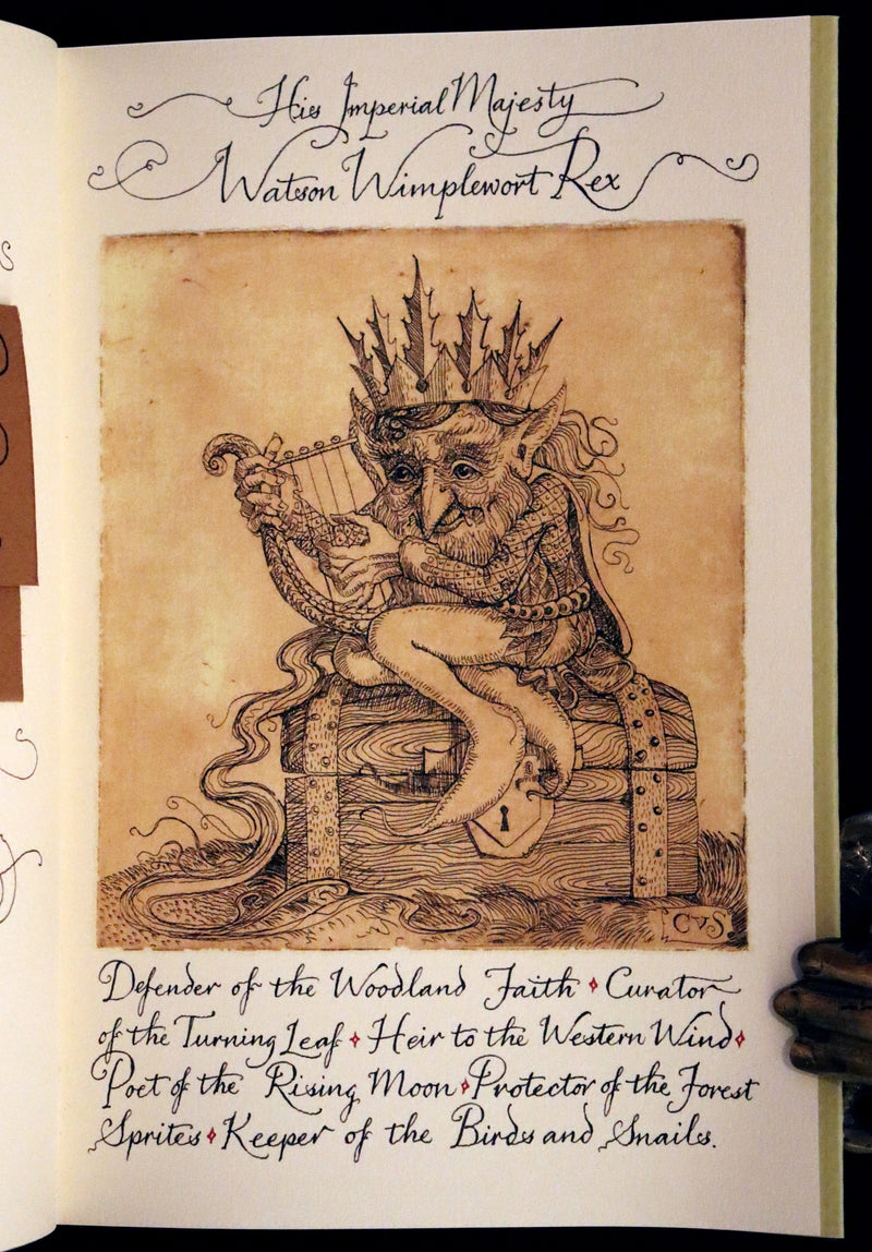 2016 Scarce First Edition - Letters From Fairyland by Charles van Sandwyk.