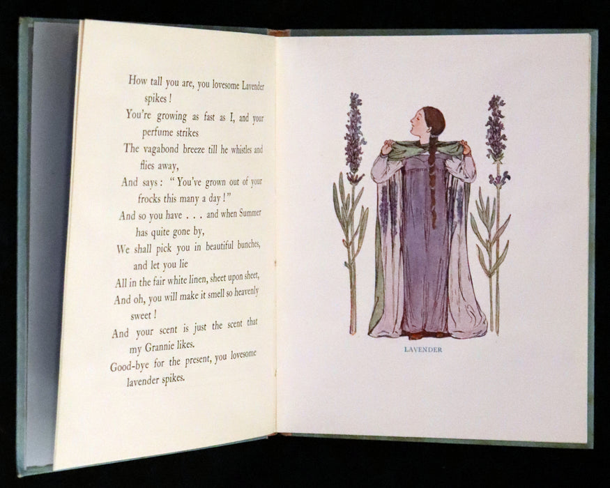 1927 Rare First Edition - The Sunflower Book, A Flower Book illustrated by Eleanor S. March.