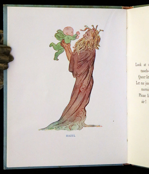 1927 Rare First Edition - The Sunflower Book, A Flower Book illustrated by Eleanor S. March.