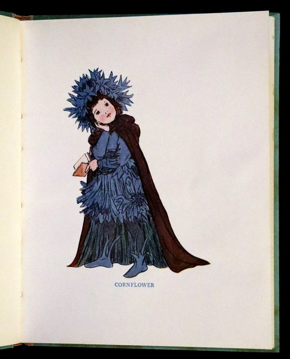 1927 Rare First Edition - The Sunflower Book, A Flower Book illustrated by Eleanor S. March.