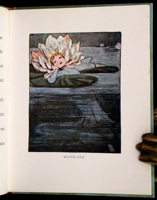 1927 Rare First Edition - The Sunflower Book, A Flower Book illustrated by Eleanor S. March.