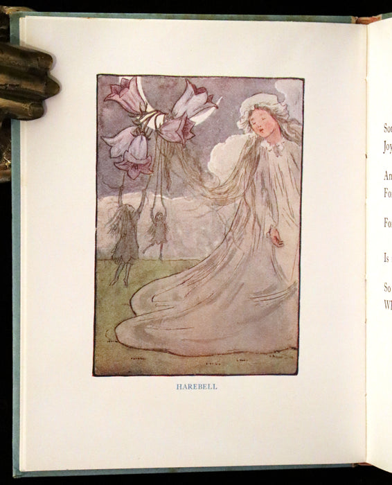 1927 Rare First Edition - The Sunflower Book, A Flower Book illustrated by Eleanor S. March.